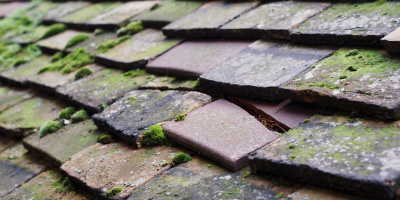 Coalport roof repair costs